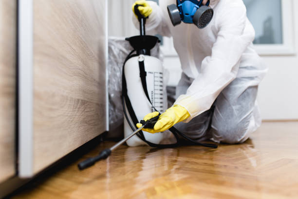 Best Flea Control Services  in Streator, IL