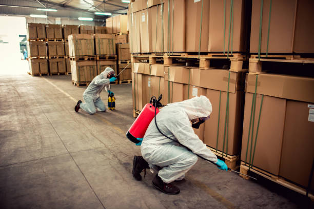 Best Mosquito Control Services  in Streator, IL