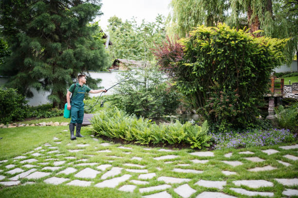 Best Exterminator Services  in Streator, IL