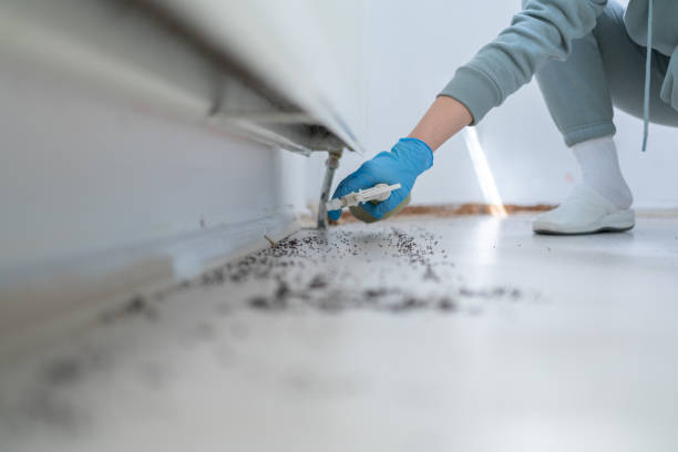 Best Pest Control for Restaurants  in Streator, IL