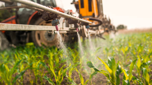 Reliable Streator, IL Pest Control Solutions